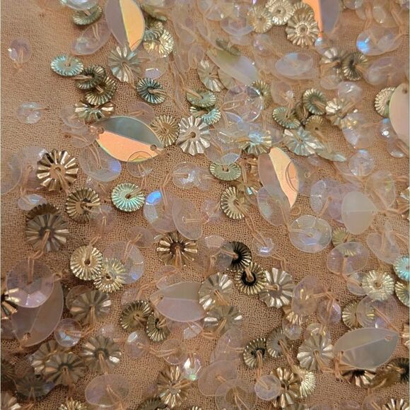 NWT Adrianna Papell Champagne Sheer Beaded Sequin Sleeveless Top Blouse S - Picture 6 of 16